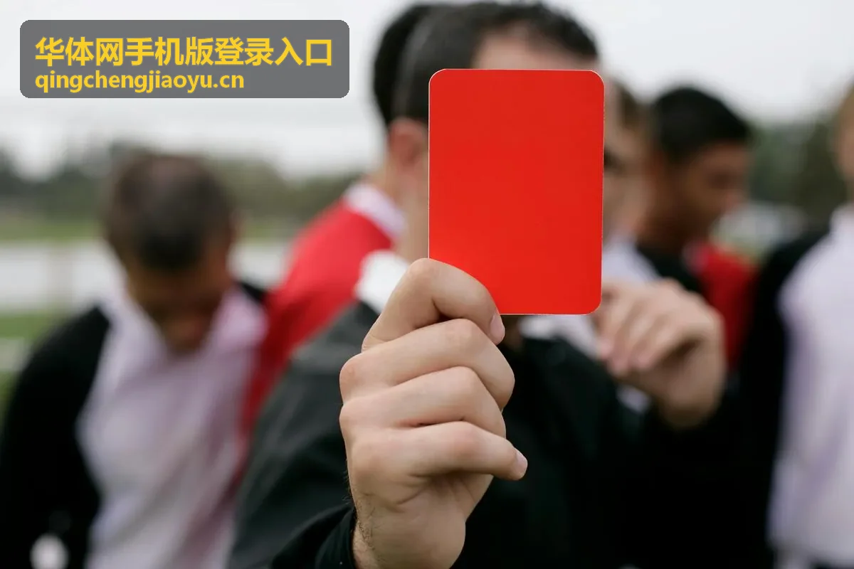 华体网手机版登录入口在手机上的赛程列表界面