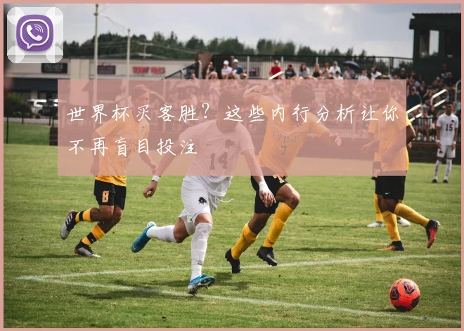 世界杯买客胜?这些内行分析让你不再盲目投注