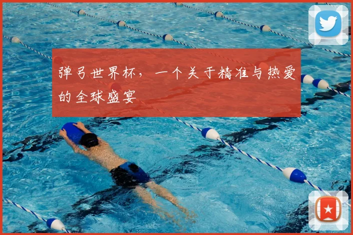弹弓世界杯，一个关于精准与热爱的全球盛宴