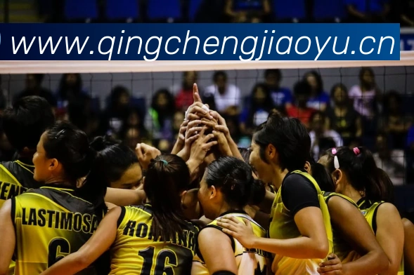 开云官方链接APP 封面图